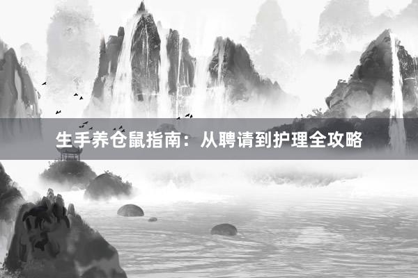 生手养仓鼠指南：从聘请到护理全攻略