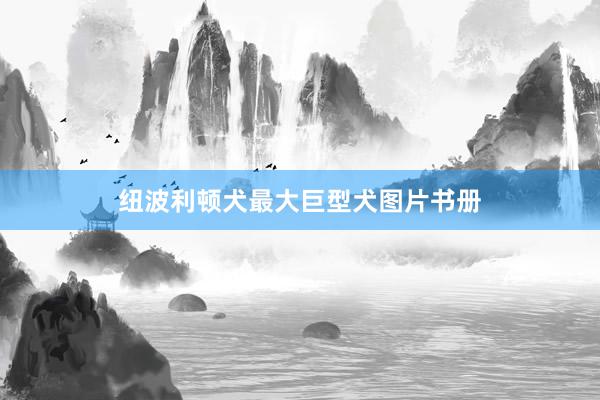 纽波利顿犬最大巨型犬图片书册