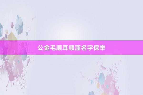 公金毛顺耳顺溜名字保举