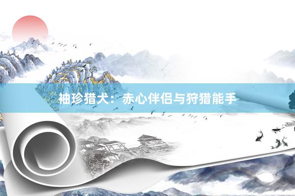 袖珍猎犬：赤心伴侣与狩猎能手